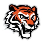 Fierce tiger head logo, orange and black.